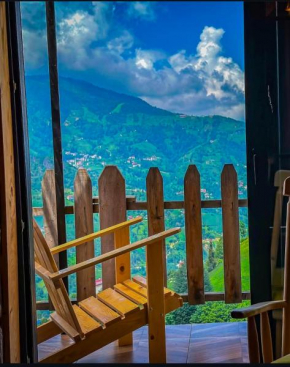 Golden Paws Guesthouse